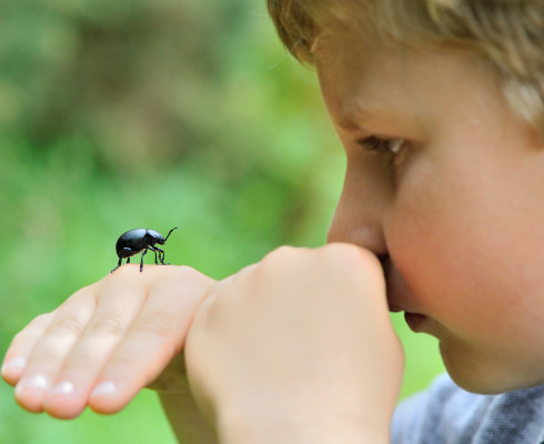 Kind mit Käfer auf der Hand