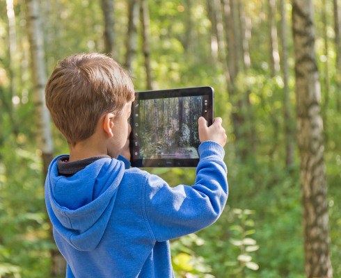 Junge mit Tablet im Wald