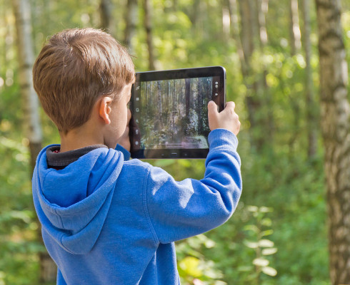 Junge mit Tablet im Wald